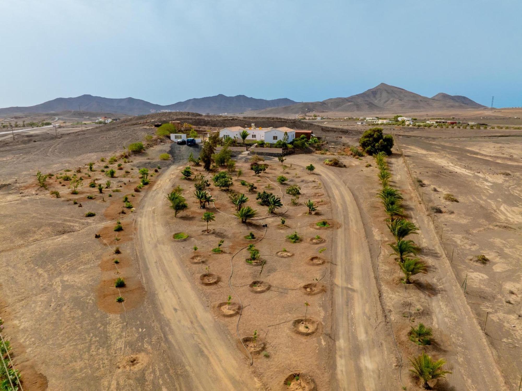 Casa Amaya - Spacious House With Pool, Large Garden, Bbq, 2 Terraces, And Ideal Location El Charco  Esterno foto